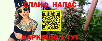 МДПВ Тара