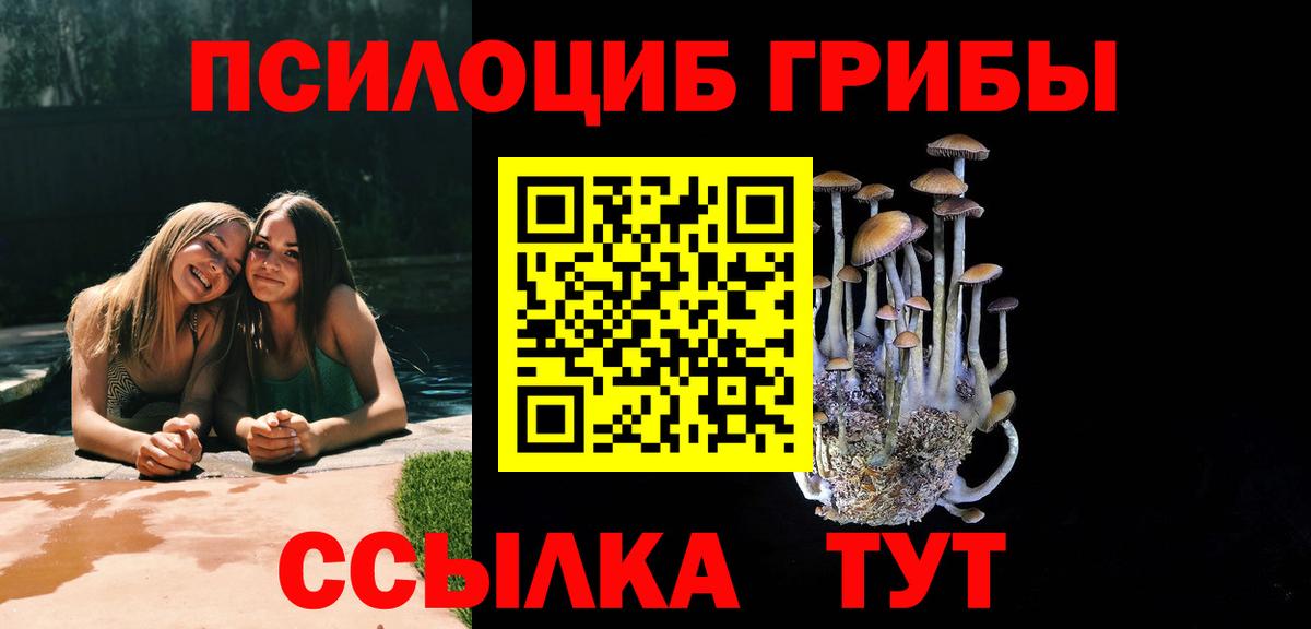 Псилоцибиновые грибы GOLDEN TEACHER Лесосибирск